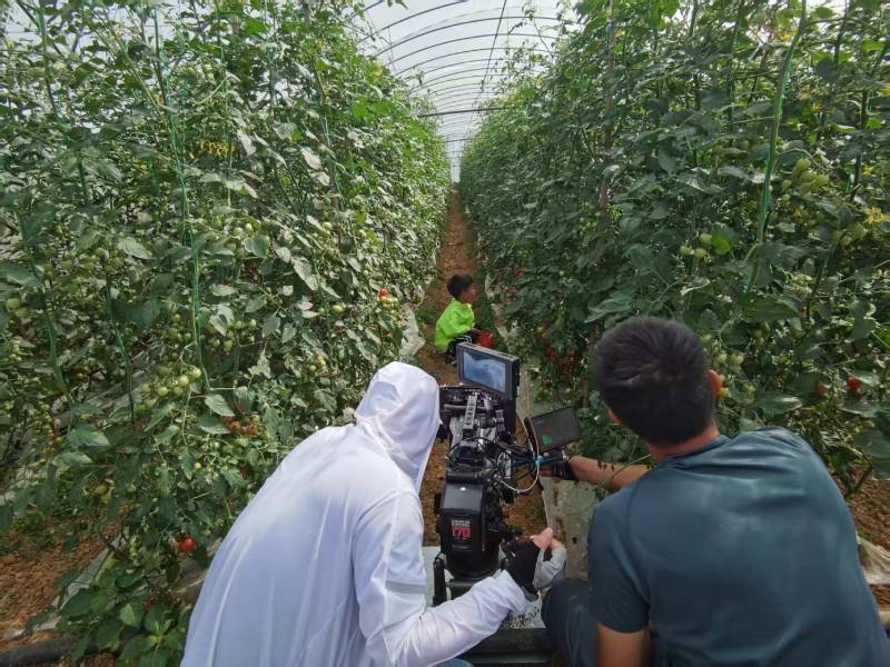 辉南县产品宣传视频拍摄公司进阶指南，助力品牌抢占传播高地